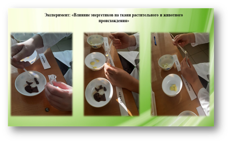 Лабораторная работа 8 класс..